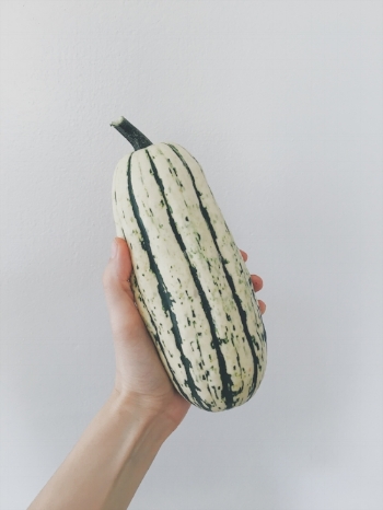 delicata-squash