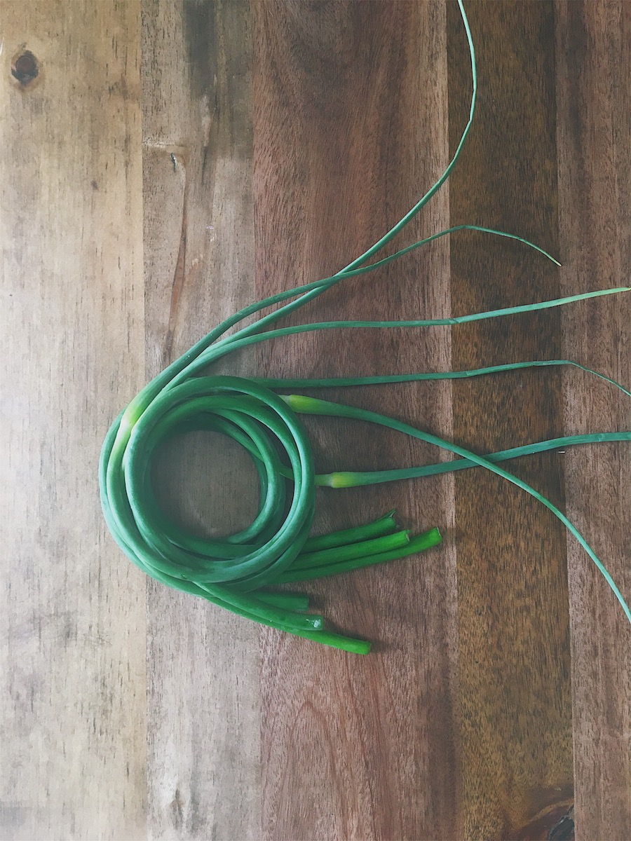 garlic scapes